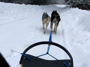 Schlittenfahrt