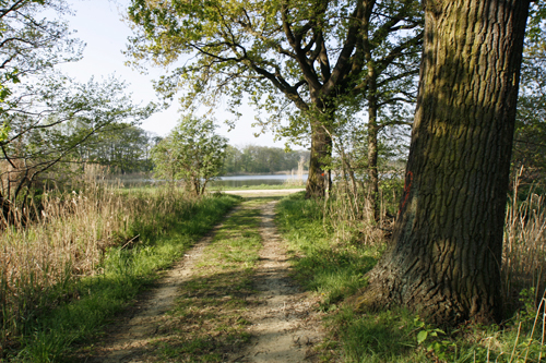 Führungen durch das Reservat Oberlausitzer Heide- und Teichlandschaft