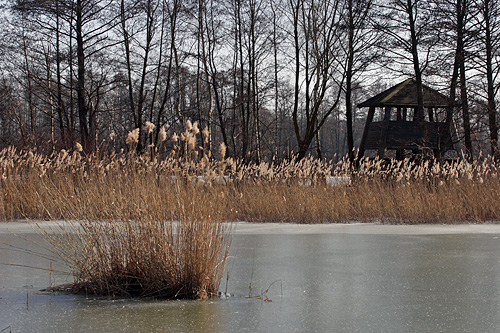 Biosphärenreservat im Winter